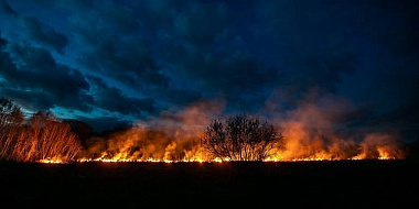 В Смоленской области из-за палов травы выгорела площадь, сопоставимая с райцентром