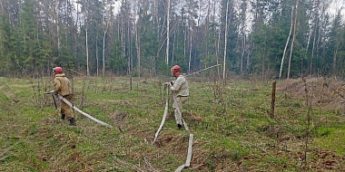 В Смоленской области лесной патруль обнаружил пожар