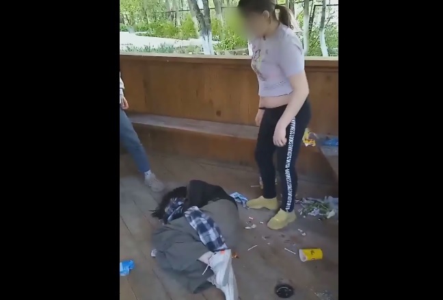 Заместитель губернатора Смоленской области прокомментировала избиение девочки в Вязьме