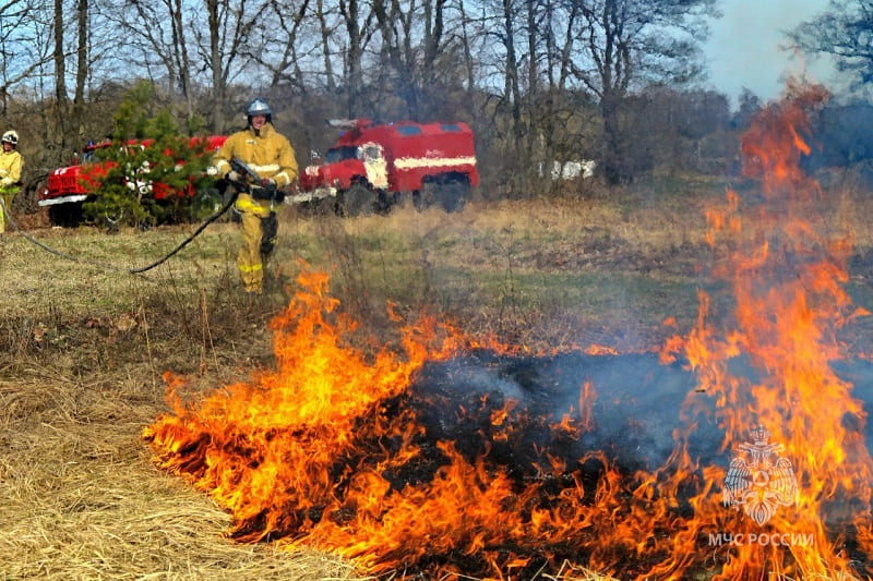 Смоленские пожарные 12 раз выезжали на тушение горящей травы за сутки