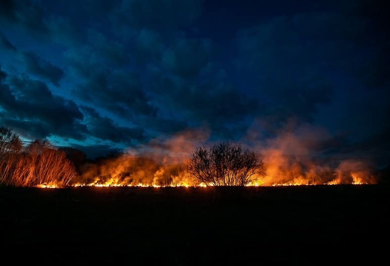В Смоленской области из-за палов травы выгорела площадь, сопоставимая с райцентром
