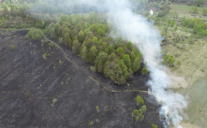 В Смоленской области предотвратили лесной пожар