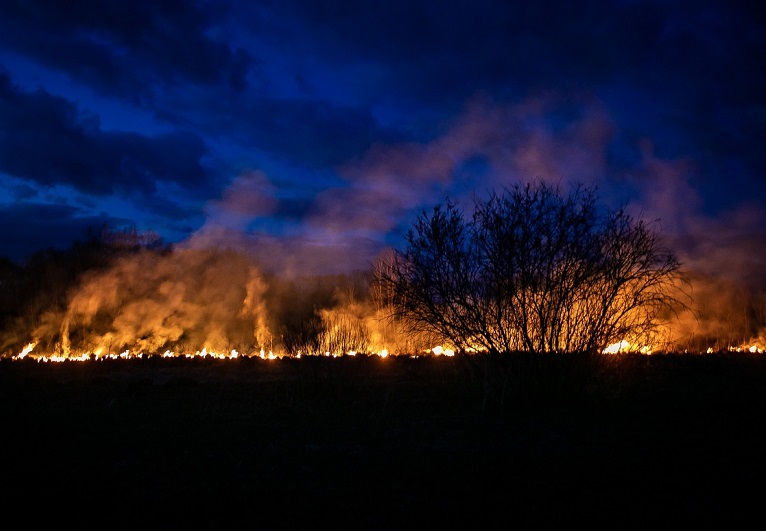 В Смоленской области введен режим повышенной готовности из-за природных пожаров