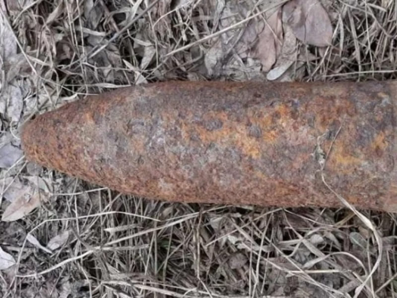 Возле турбазы в Смоленской области уничтожили два взрывоопасных предмета