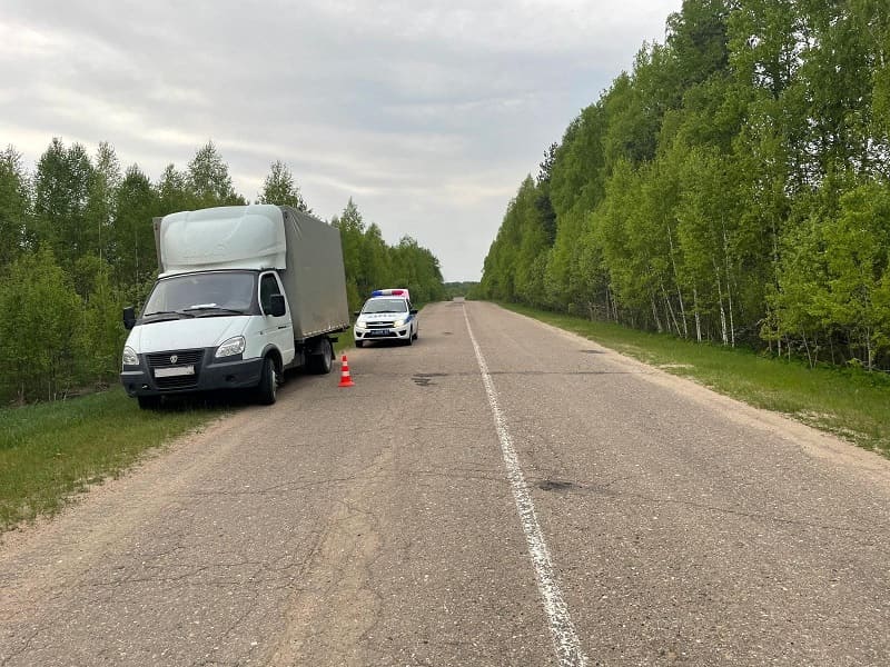В Смоленской области велосипедист попал под колеса «Газели»