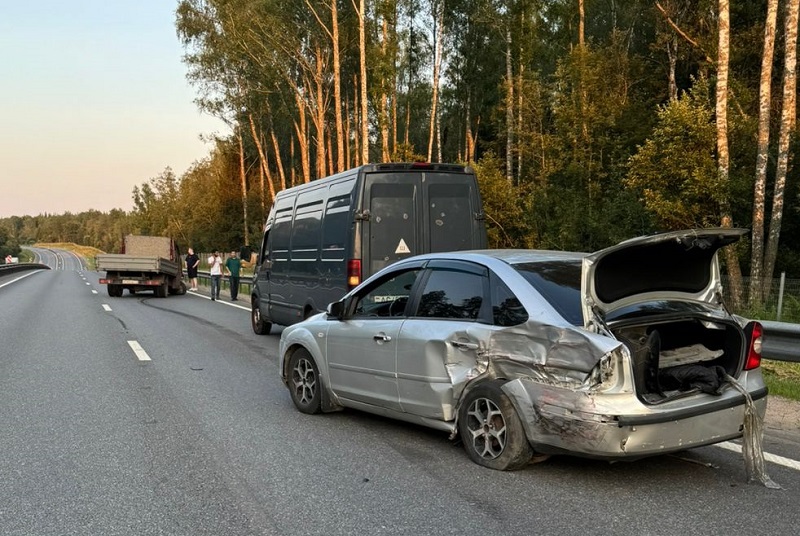 В Смоленской области водитель «ГАЗ» устроил массовое ДТП и сбил пешехода