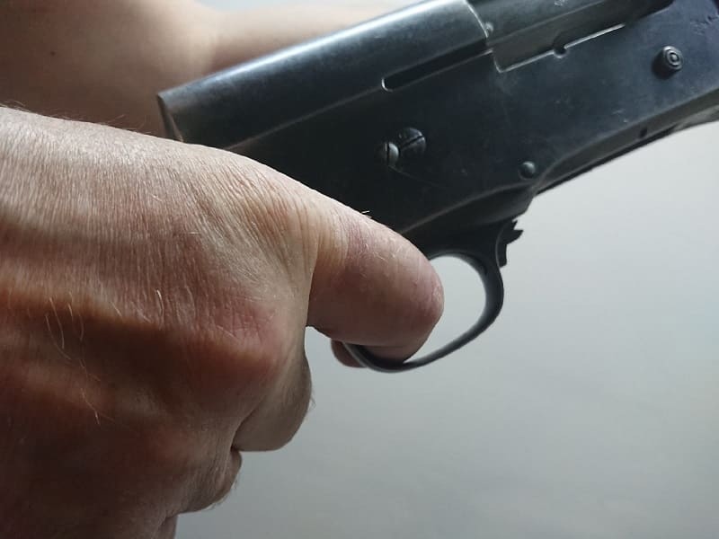 За неделю в Смоленской области изъяли 23 единицы оружия
