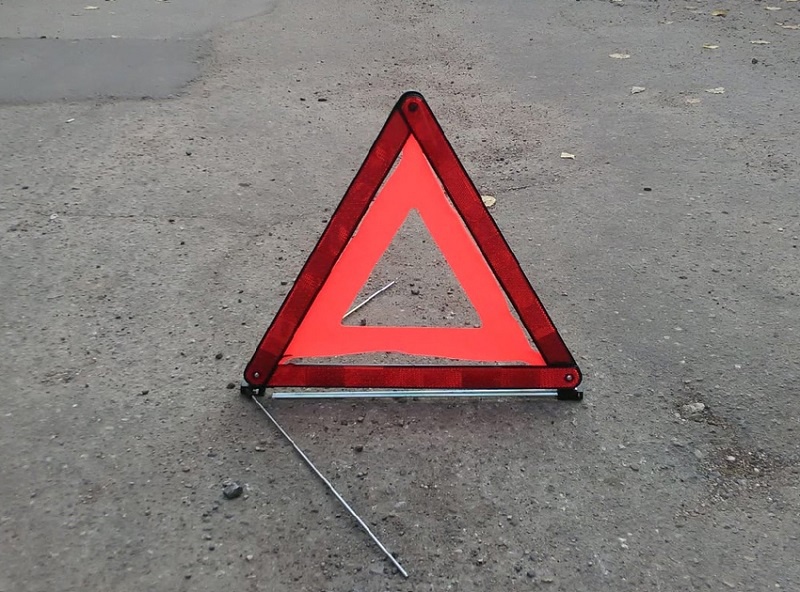 В Смоленской области пассажир иномарки пострадал в ДТП с лосем