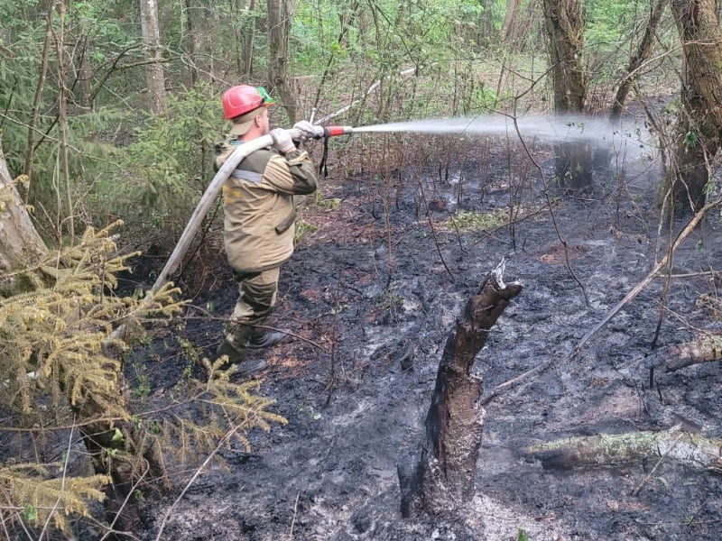 Общая площадь лесных пожаров в Смоленской области за весну составила более 16 гектаров