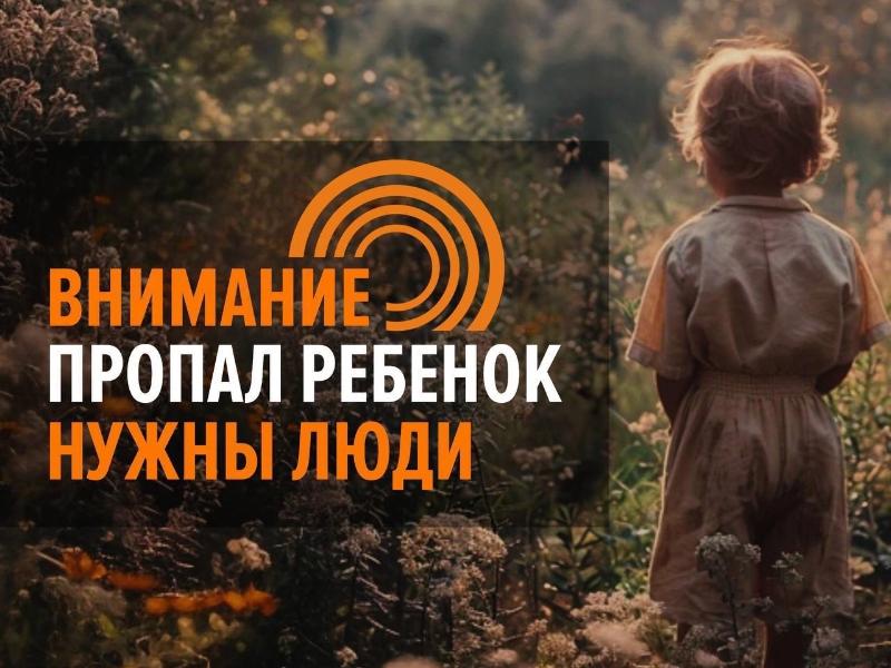 В Смоленской области пропал 10-летний ребёнок 