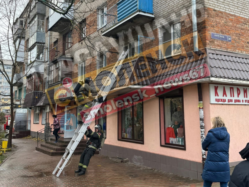 Дневной пожар в Смоленске унес жизнь 78-летней пенсионерки
