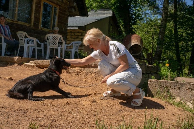В Смоленской области руководитель «Ваш Тыл 67» помогла приюту для бездомных животных