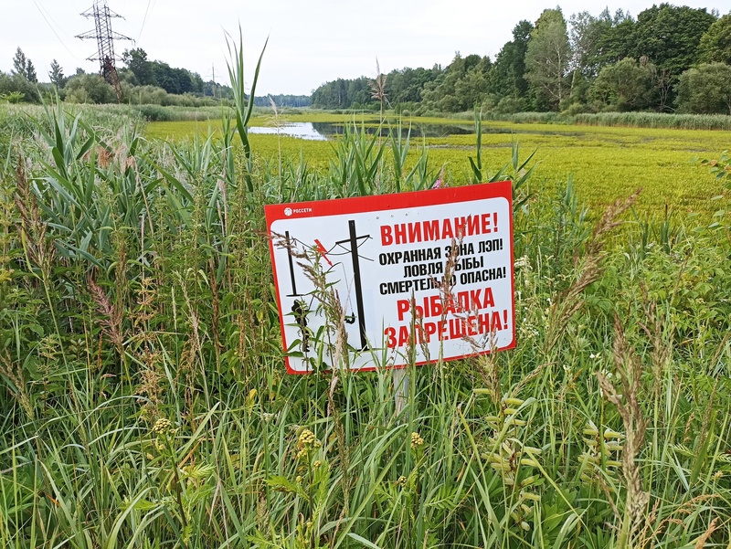 «Смоленскэнерго» напоминает жителям о правилах электробезопасности на природе 