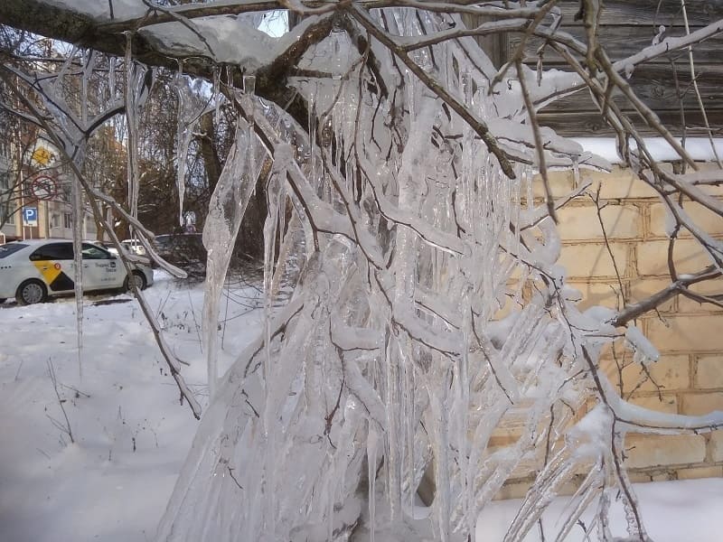 Погода недели в Смоленской области: оттепель сменится морозами