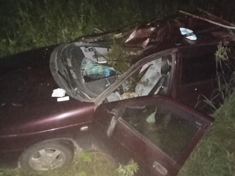 В Смоленской области водитель «ВАЗа» пострадал в жестком ДТП с лосем