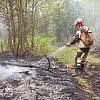 В Смоленской области из-за пала чуть не сгорело сельское кладбище и почти 10 га леса