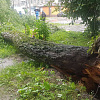 В Смоленске убирают поваленные деревья, восстанавливают электро- и водоснабжение