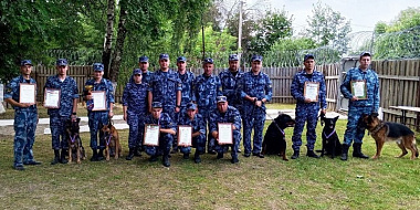  В Смоленской области прошли соревнования кинологов по многоборью 