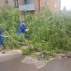 В Смоленске убирают поваленные деревья, восстанавливают электро- и водоснабжение