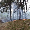 В Смоленской области из-за пала чуть не сгорело сельское кладбище и почти 10 га леса
