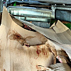 В Смоленской области задержали почти 6 тонн незаконной говядины
