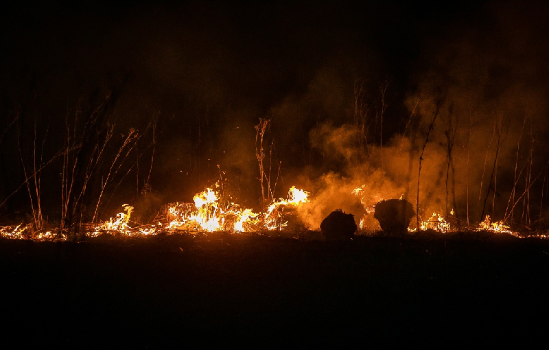 В  Смоленской области из-за палов выгорело уже 502 гектара